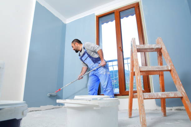 Professional Mold Removal in Oakley, KS