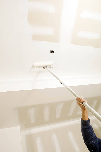 Best Mold Damage Restoration  in Oakley, KS