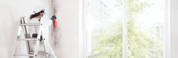 Best Mold-Related Health Consultation  in Oakley, KS